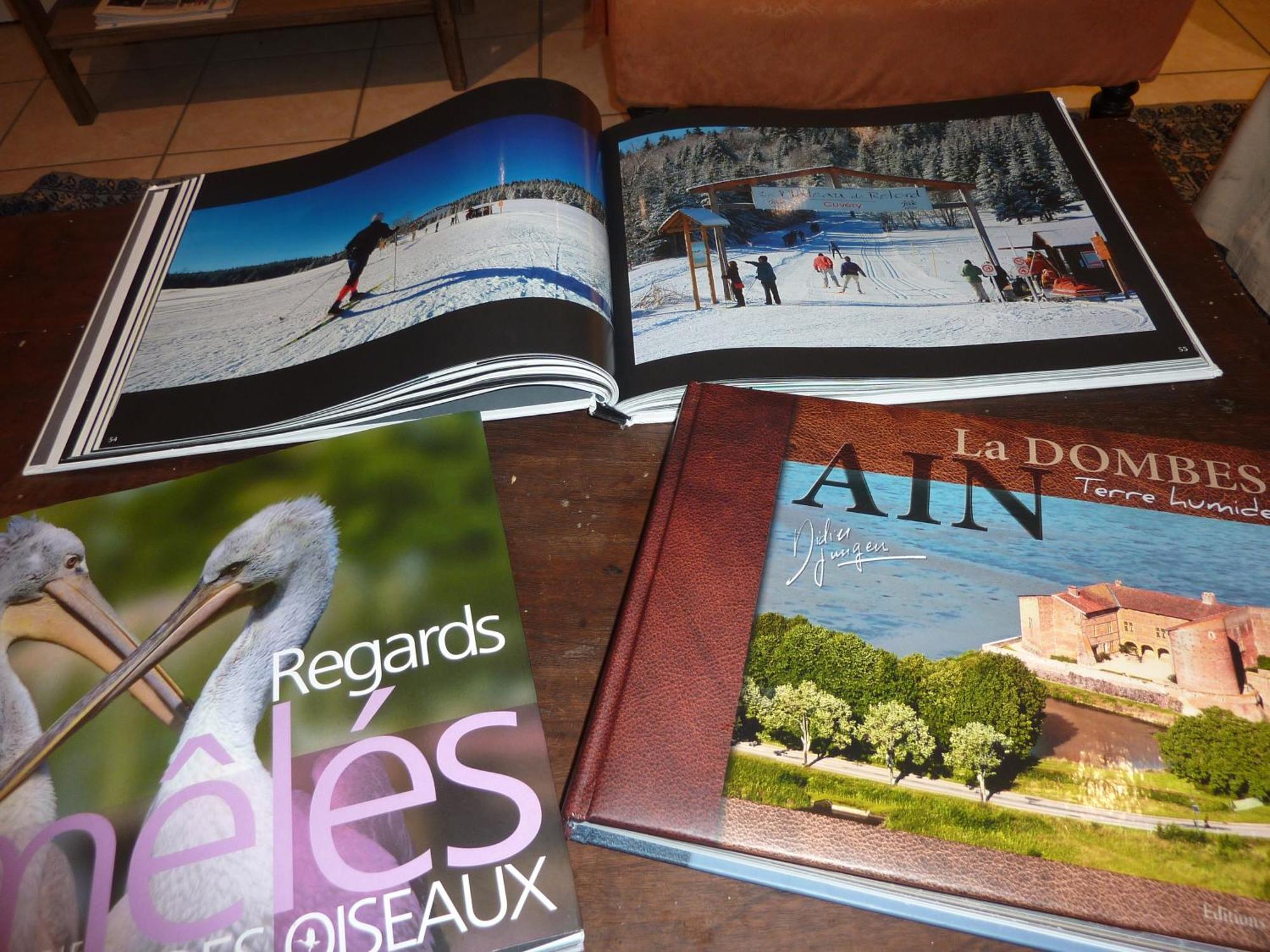 Montréal La Cluse Lac'Hotel France מראה חיצוני תמונה